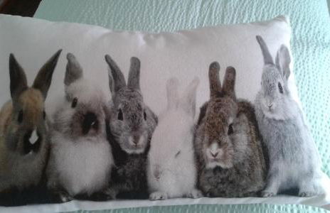 Haus Hochwies - Foto 51