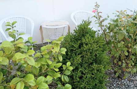 Luxury Villa Ntina - Foto 26