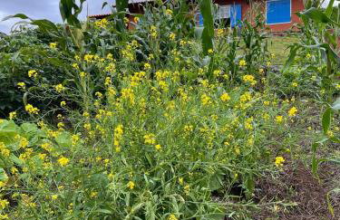 Casinha em Membeca - Foto 24