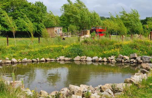 Double Decker Bus on an Alpaca Farm Sleeps 8 - Foto 88