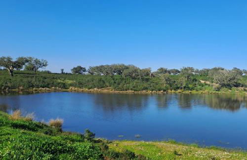 Herdade Monte Gordo - Foto 19