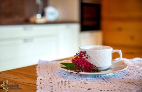 Osada Kościelisko - Tatry na Wyciągnięcie Ręki - Foto 104