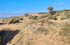 Appartement Guardamar Del Segura - Foto 19