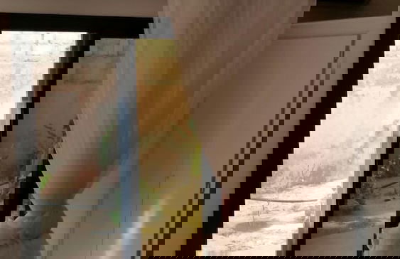 La bougain Villa - Photo 8