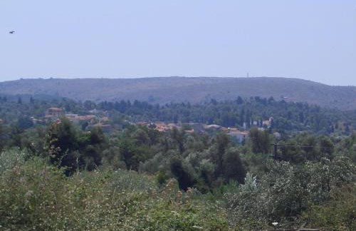 The Milio's House - Foto 42