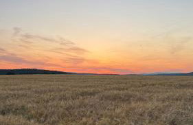 Ferienwohnung RhönKiss - Foto 38