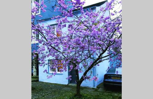 Albion Cottage - Foto 14