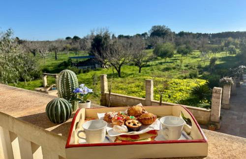 Villa PARADISO - Tra Ulivi e Tramonti da Cartolina - Foto 27