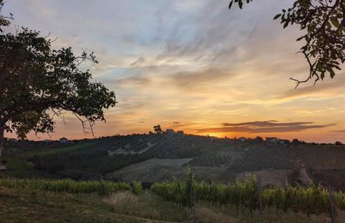 Agriturismo Torre Mannella - La Loggia - Foto 36