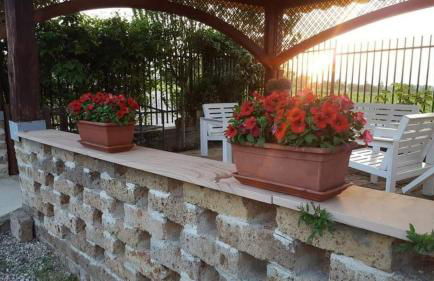 Azienda Agricola Cascina Monticone - Foto 31