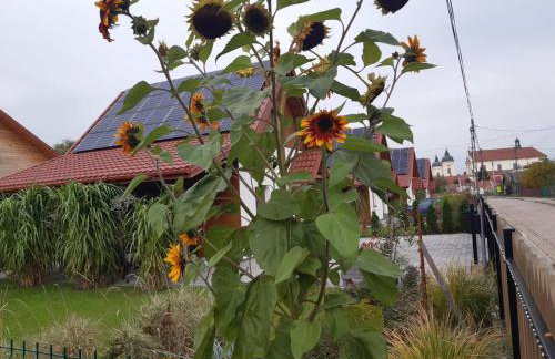 Przystanek Tykocin - domki gościnne w sercu Podlasia - Foto 26