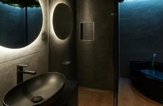 Jungle Room Strasbourg - Évasion Tropicale - Sauna Jacuzzi Balnéo - Foto 7