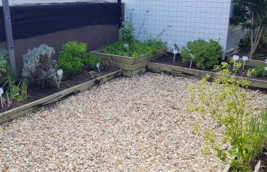 Excelente Apto Terraço Verde C/Vista Mar Piscina 3 D - Foto 24