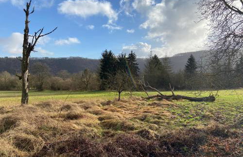 Lieblingsplatz Koblenz - Foto 53