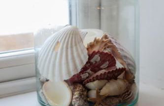 Hightide - Bracklesham Bay - Foto 14