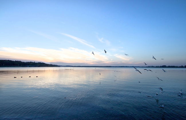 Maremüritz Yachthafen Resort - Foto 58