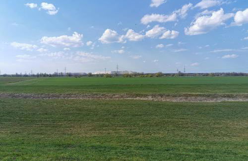 "Elbparadies" Ferienhaus am Niegripper See mit Pool - Photo 23