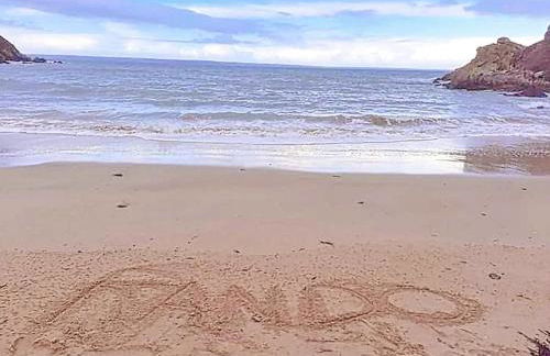 La Maison de L'Hermitage 225 m2 terrain 2300 m2 - Photo 56