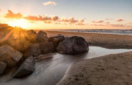 Hollyhocks - Foto 26