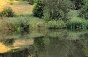 RELAX CHALET Nature Retreat - isolé sur 3 hectares - confort de LUXE - maison entière 150m2 - près de La Bresse - Foto 1