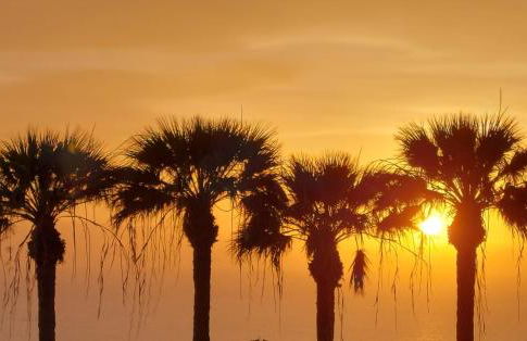 LUXURY VILLA NAUTILUS Heated pool - Foto 49