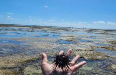 Flats Parada Obrigatoria - Foto 22