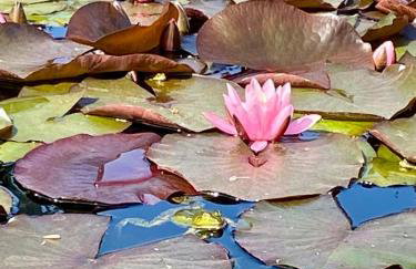 Ferienhaus Kimmelsbacher Hof - Sauna & Naturpool & Seminarraum - Foto 28