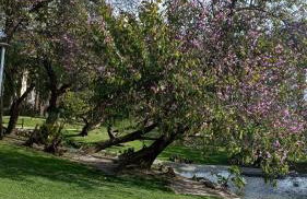 SUEÑOS DEL MAR - Foto 29