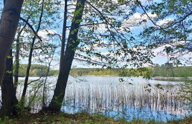 Leśna Ostoja w centrum Puszczy Nadnoteckiej otoczona 3 jeziorami - Foto 31