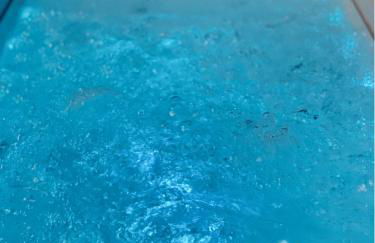 Apparenthèse Love Room Jacuzzi Sauna - Foto 16