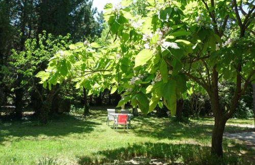 Mas De La Pomme De Pin - Foto 16