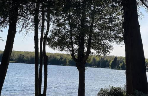 Carraigeen Cottage - Foto 8