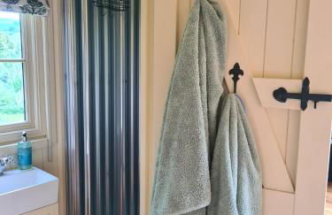 Shepherd's Hut in heart of the Brecon Beacons - Photo 17