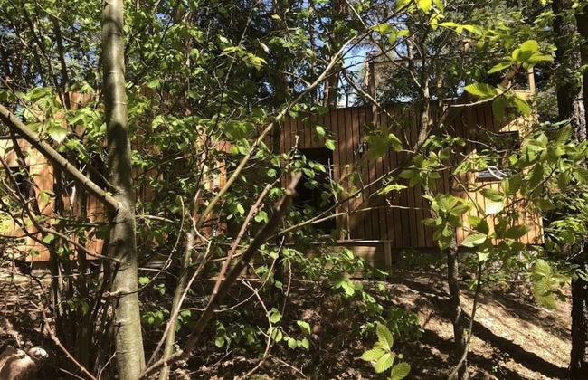 Holiday Home Under the Trees - Photo 34