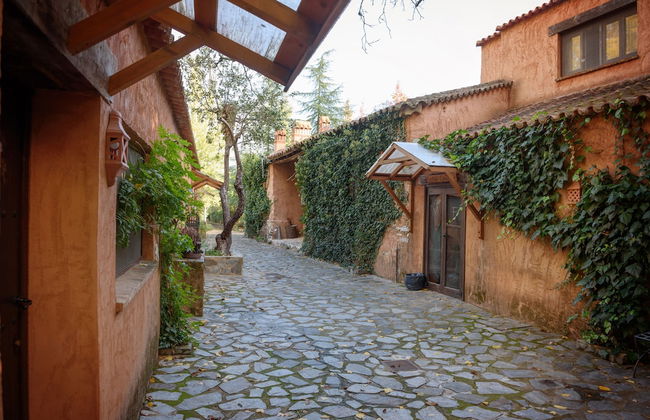 Molinos de Fuenteheridos - Photo 36