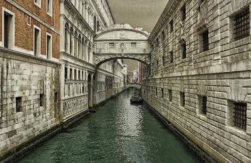 The judas trees - Foto 37