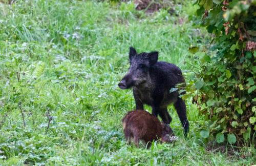 Caserío Ea - Foto 4