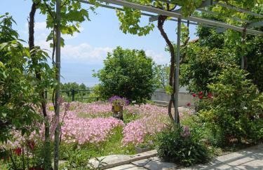 Mikros Paradisos Pelion - Foto 38