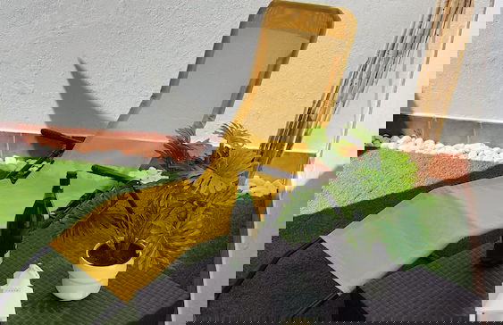 Cantinho do Guadiana Nice Terrace - Foto 26