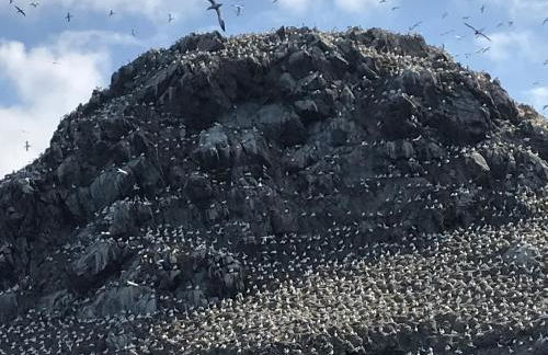Apt de charme, les pieds dans l'eau - Foto 23