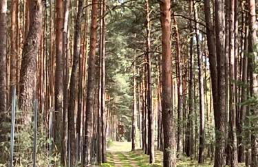 Ferienhaus Fjola - Photo 11