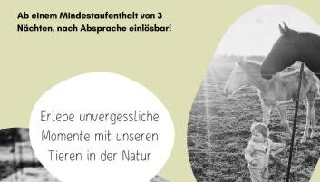 Ferienhaus Lion - Photo 4
