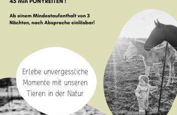 Ferienhaus Lion - Foto 4