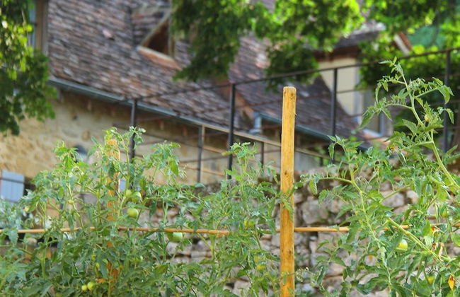 Maison Milou - Foto 19