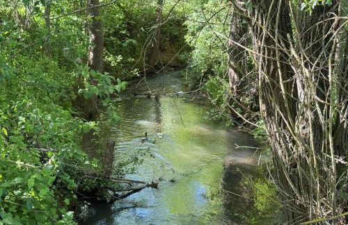 Ferienwohnungen Auszeit Taubertal - Foto 34