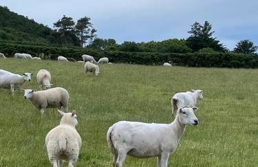 Loughview Lodge - Foto 52