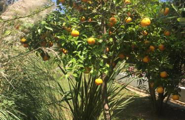 Résidence EMILIA - Foto 37