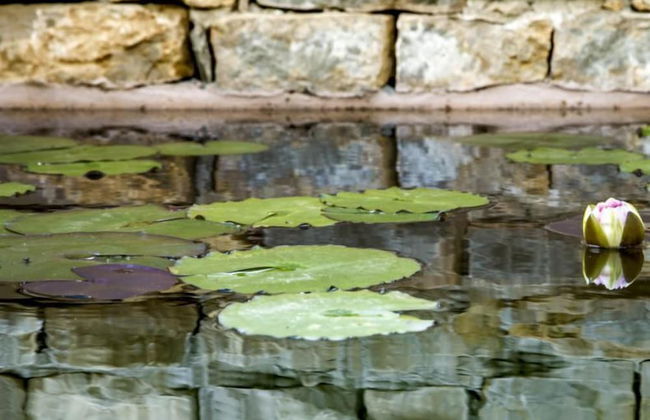 Agriturismo Don Carlo - Foto 35