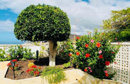 Casa Solaris at Anfi Beach with Private Terrace, Pool & Netflix - Photo 30