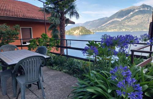 Bellavista garden and flowers - Foto 31